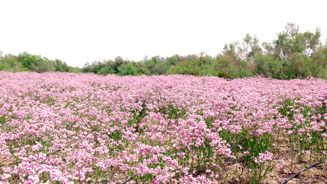 1765683881556563.jpg 2025061128.jpg